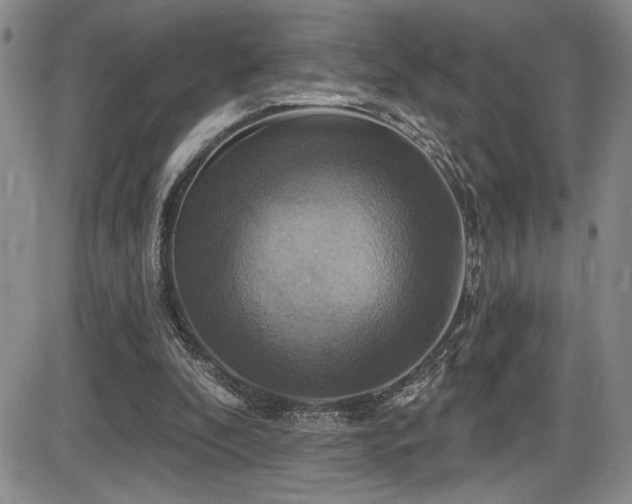 X0000086220296200703291219
