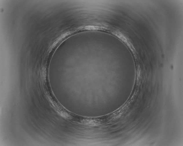 X0000086220297200703291219