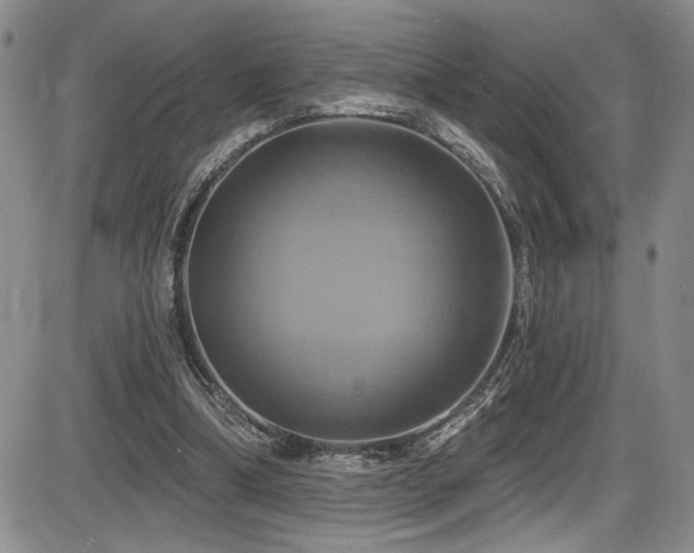X0000086220298200703291219