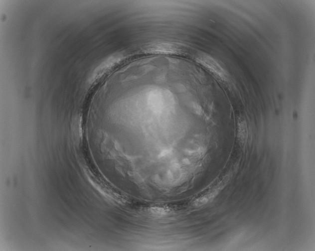 X0000086220302200703291219