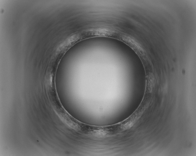 X0000086220310200703291218