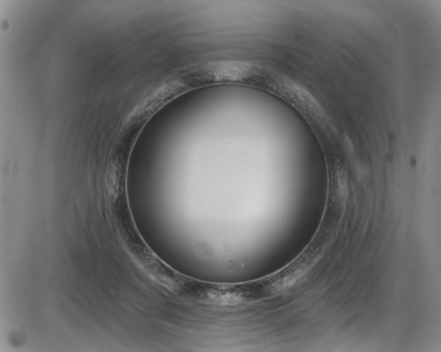 X0000086220311200703291218