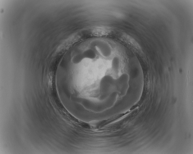 X0000086220315200703291218