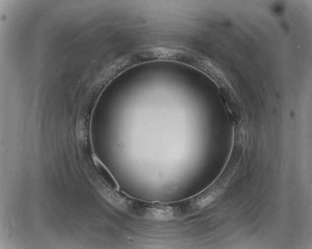 X0000086220317200703291218