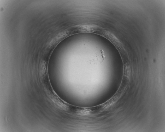 X0000086220318200703291218