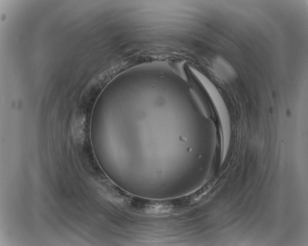 X0000086220319200703291218