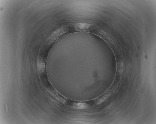 X0000086220324200703291218