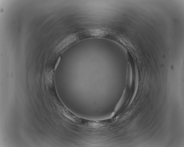 X0000086220325200703291218