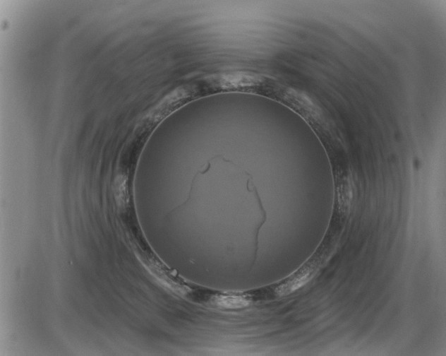 X0000086220327200703291218