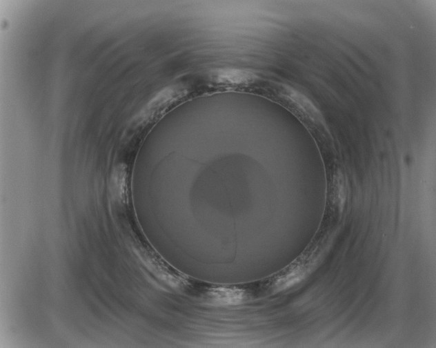 X0000086220328200703291218