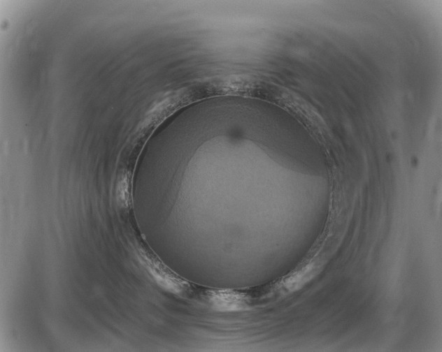 X0000086220336200703291218