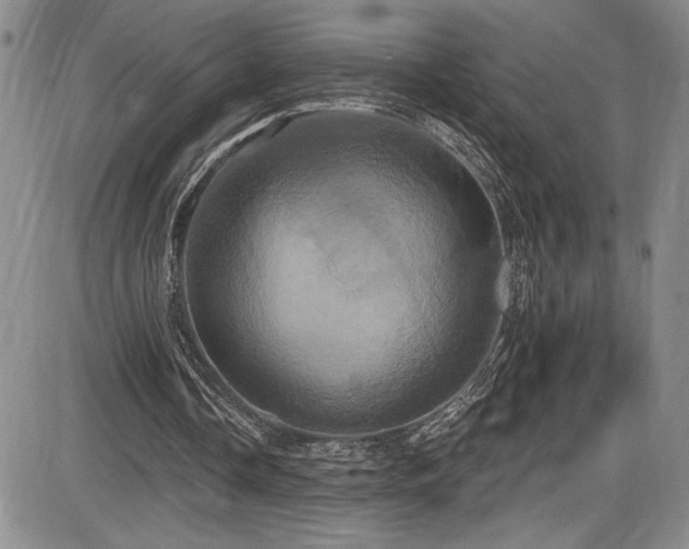 X0000086220338200703291217