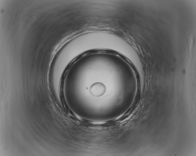 X0000086220340200703291217