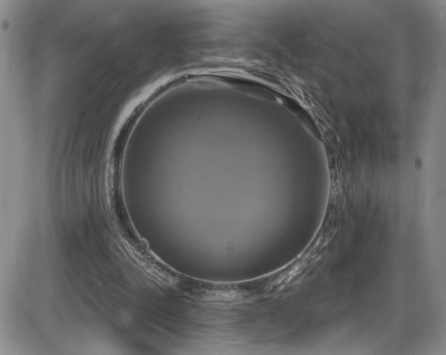 X0000086220342200703291217