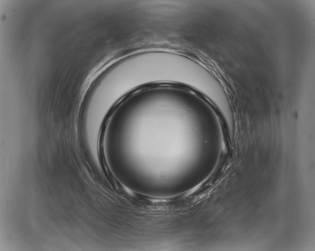 X0000086220344200703291217