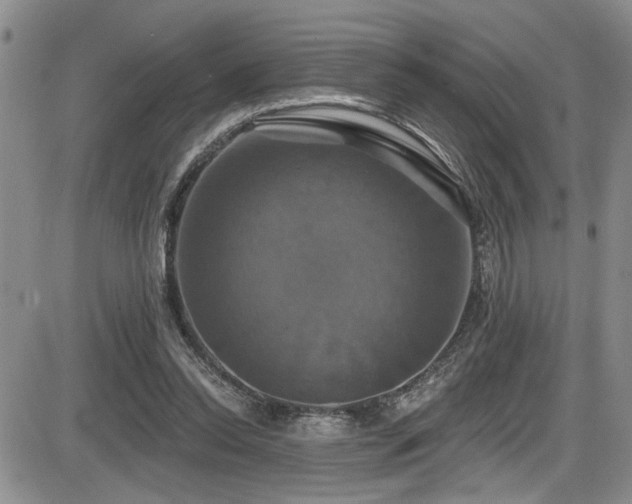 X0000086220350200703291217