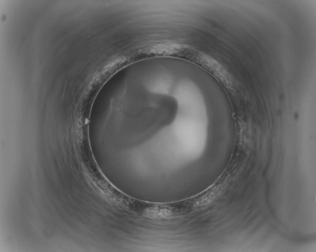 X0000086220354200703291218