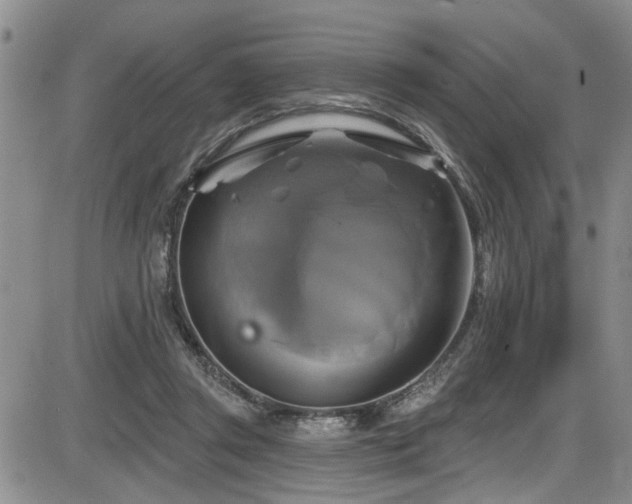 X0000086220357200703291218