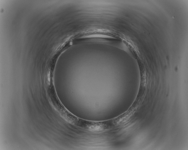 X0000086220358200703291218