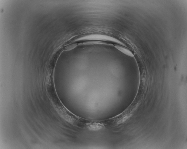 X0000086220359200703291218