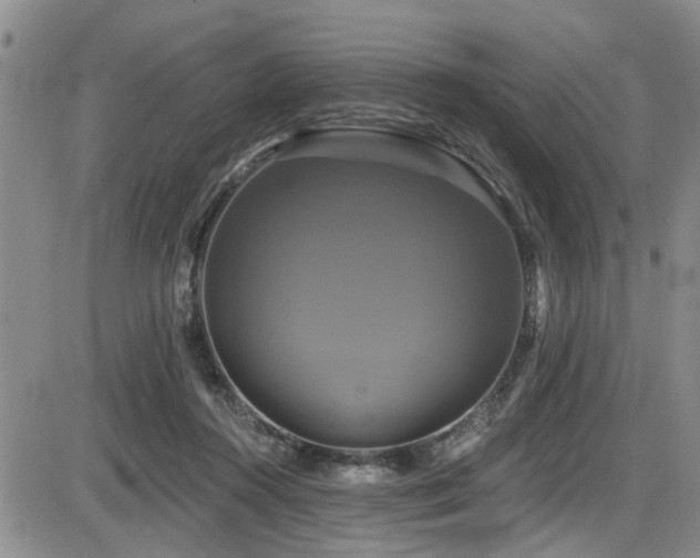 X0000086220360200703291218