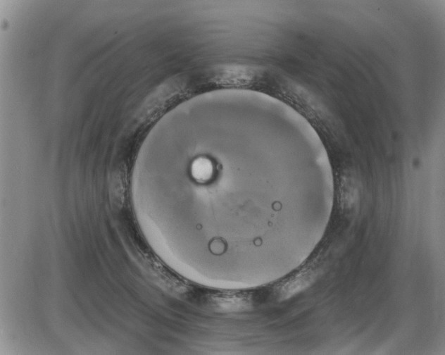 X0000086220370200703291218