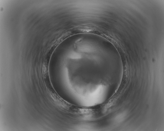 X0000086220371200703291218