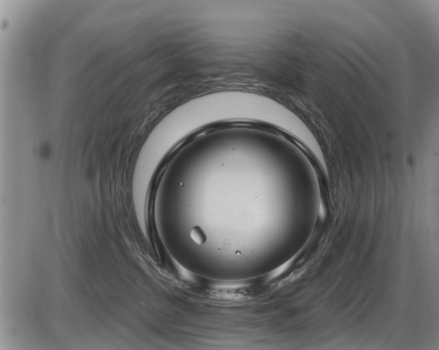 X0000086220380200703291218