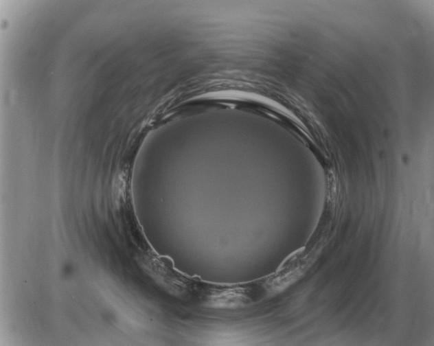 X0000086220382200703291218