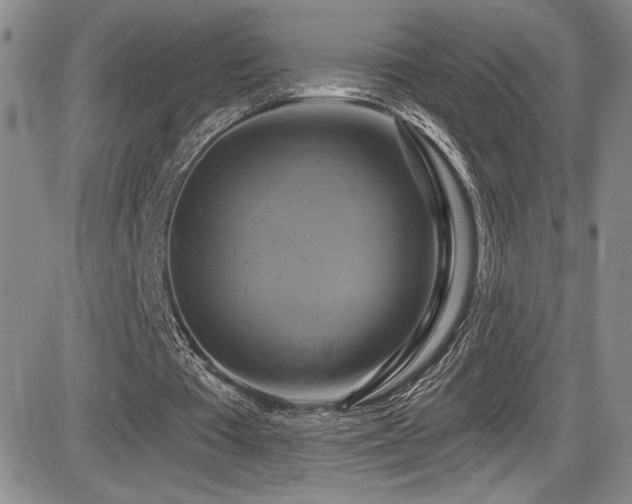 X0000086220385200703291217