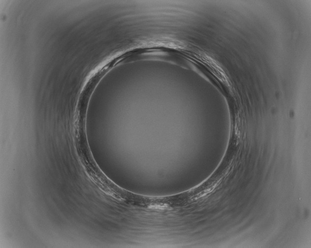 X0000086220388200703291217