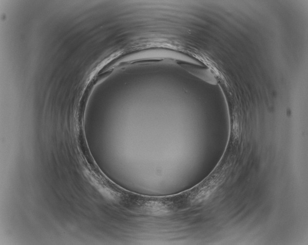X0000086220390200703291217
