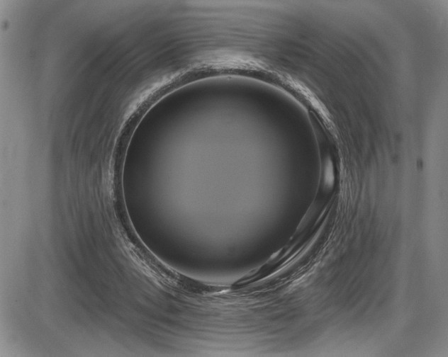 X0000086220391200703291217