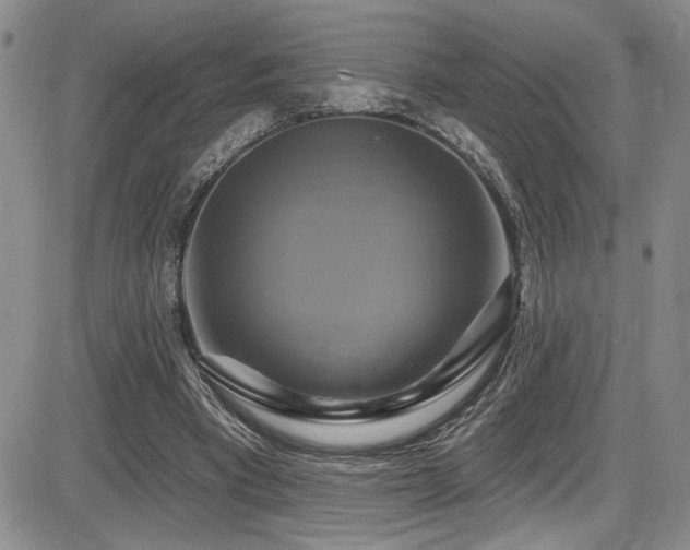 X0000086220393200703291217