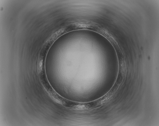 X0000086220406200703291217