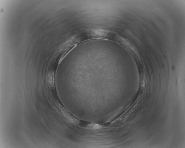 X0000086220425200703291217