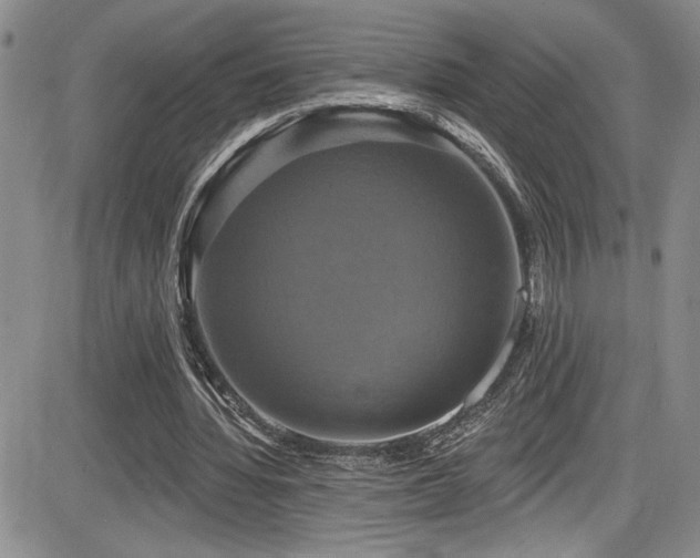 X0000086220436200703291216