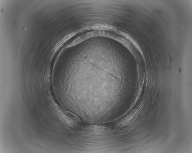 X0000086220437200703291216
