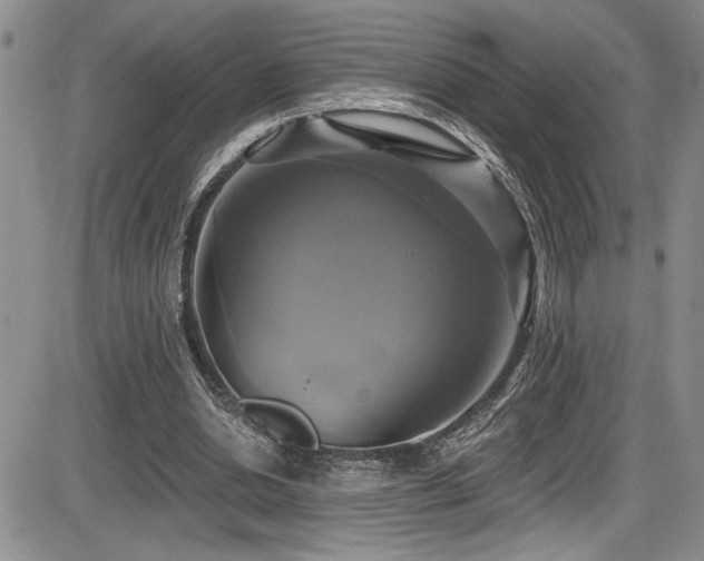 X0000086220438200703291216