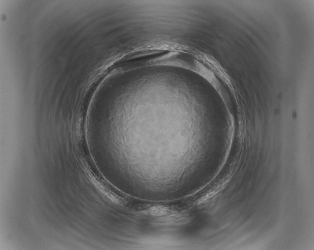 X0000086220441200703291216