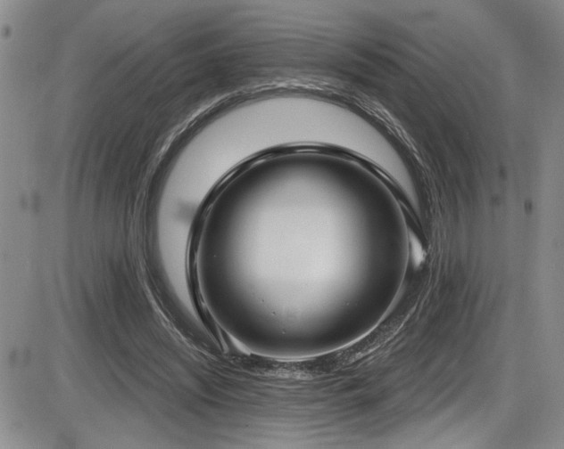 X0000086220444200703291216