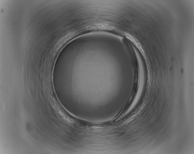 X0000086220481200703291216