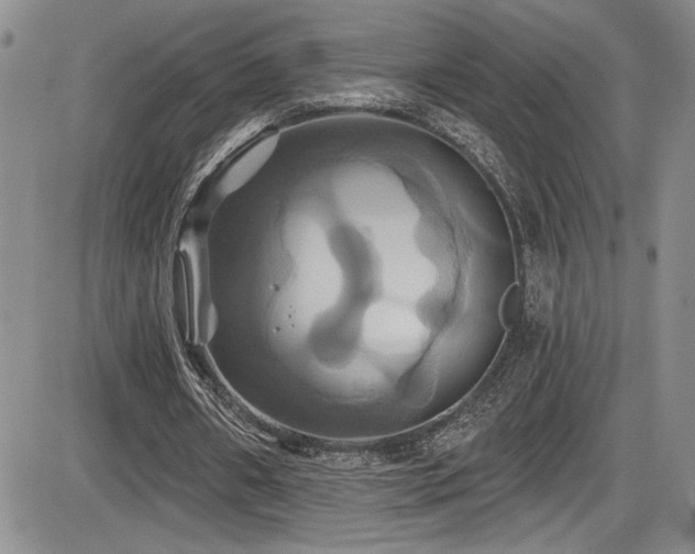 X0000086220482200703291216