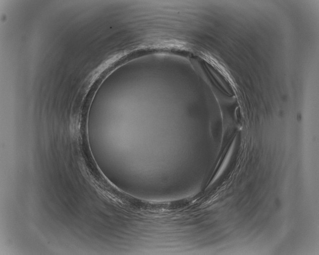 X0000086220483200703291216