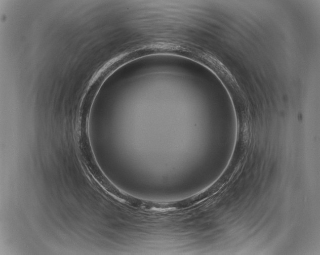 X0000086220484200703291216