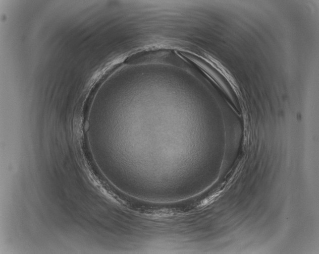 X0000086220485200703291216