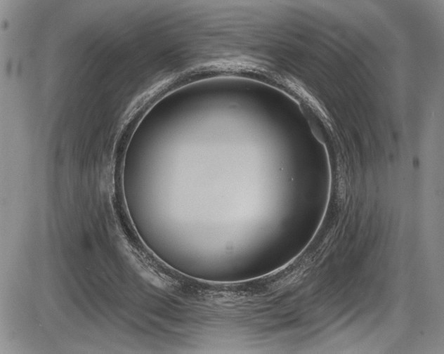 X0000086220486200703291216