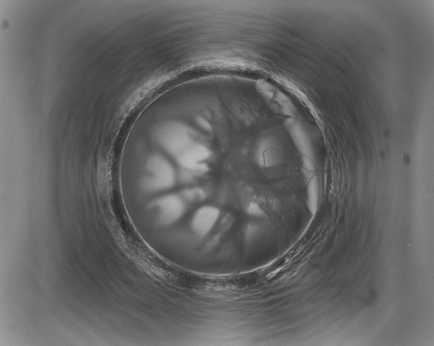 X0000086220487200703291215