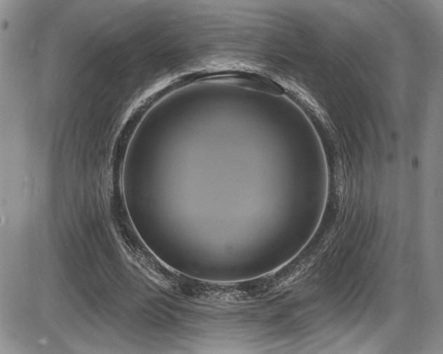 X0000086220488200703291215