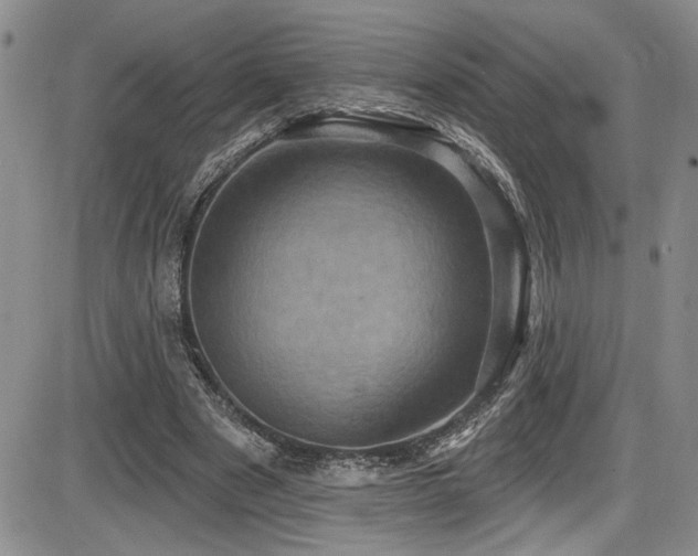 X0000086220489200703291215